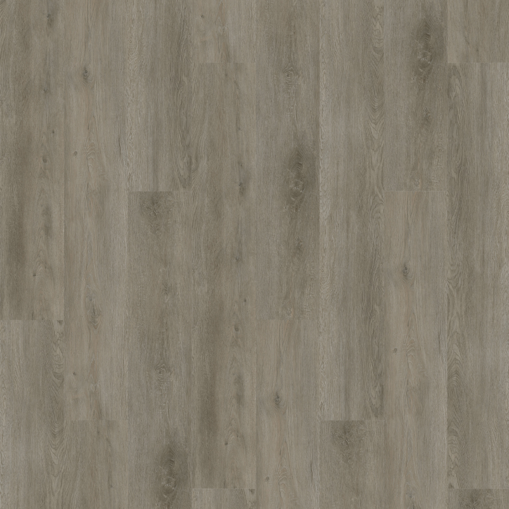 Sara Oak – Matte