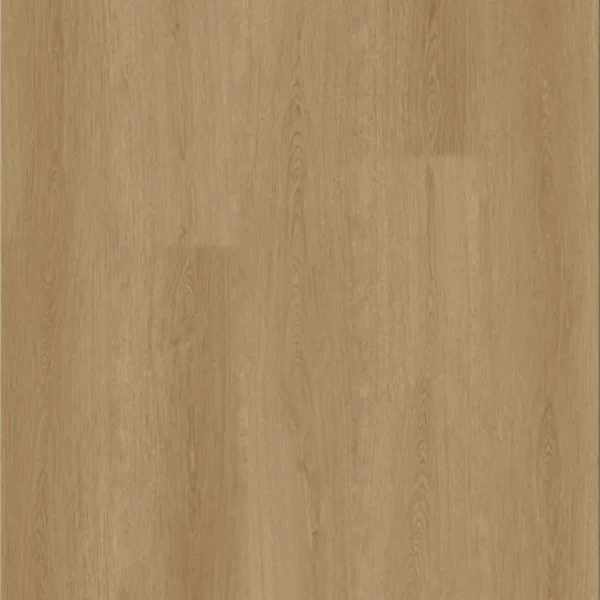 Spritz Cedar