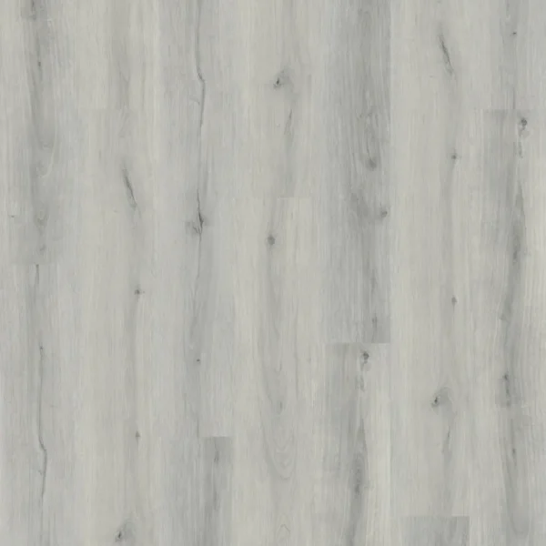 Plata Oak